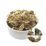 OEM Custom 10KG Phalaenopsis Dendrobium officinale Gardening Materials Sphagnum moss New Zealand Dried Chile For Plant Exporter
