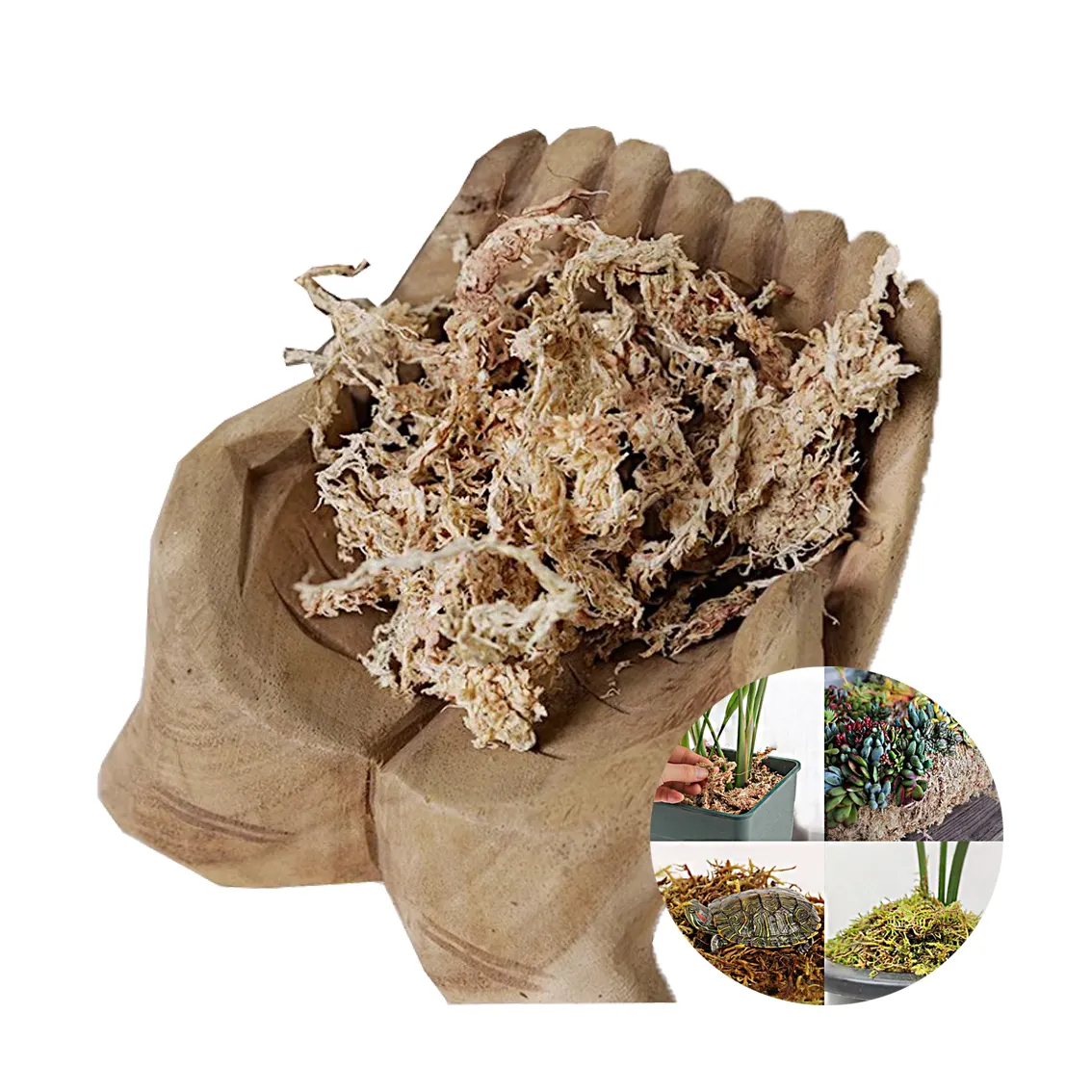 OEM Custom 10KG Phalaenopsis Dendrobium officinale Gardening Materials Sphagnum moss New Zealand Dried Chile For Plant Exporter