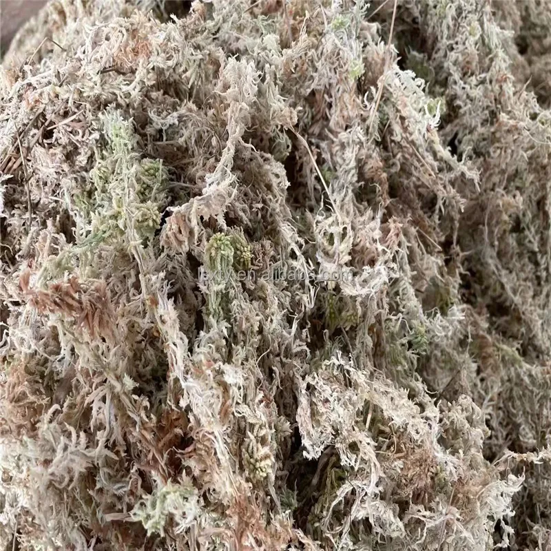 TY Factory Supplying succulent cultivation medium sphagnum moss dried sphagnum moss for Potted flowers