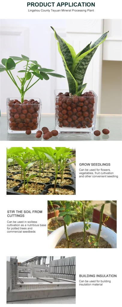 Clay Balls for Terrarium Landscaping