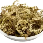 Wholesale Potted Flowers Succulent Long Fiber Sphagnum Moss New Zealand Natural Dry Sphagnum Moss Peat Moss for Plants