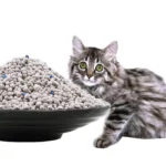 Wholesale Low Dust Cat Litter Bentonite Clay Lemon Flavor Mixed Pet Litter 10kg for Cat General Purpose