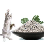 Wholesale Low Dust Cat Litter Bentonite Clay Lemon Flavor Mixed Pet Litter 10kg for Cat General Purpose